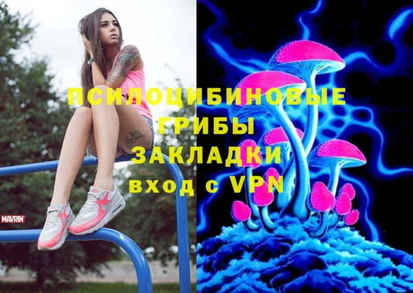 дмт Алексеевка