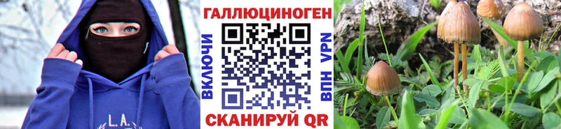 Купить закладки  Тырныауз  Галлюциногенные грибы MAGIC MUSHROOMS 